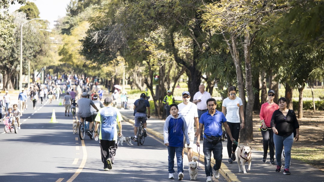 Viele Fußgänger und Radfahrer laufen und fahren auf einer Straße durch einen Park.
