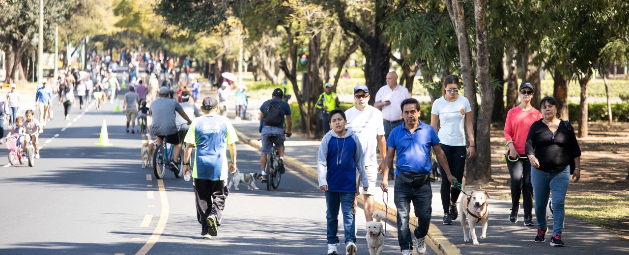 Many pedestrians and cyclists walk and ride on a road through a park.