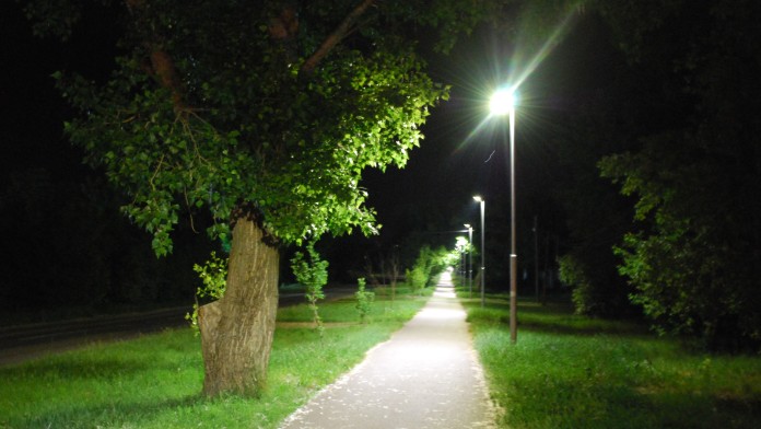 Night scene of illuminated path with trees on one side.