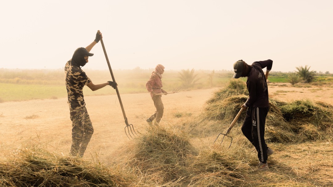 Farmers benefiting from irrigation projects