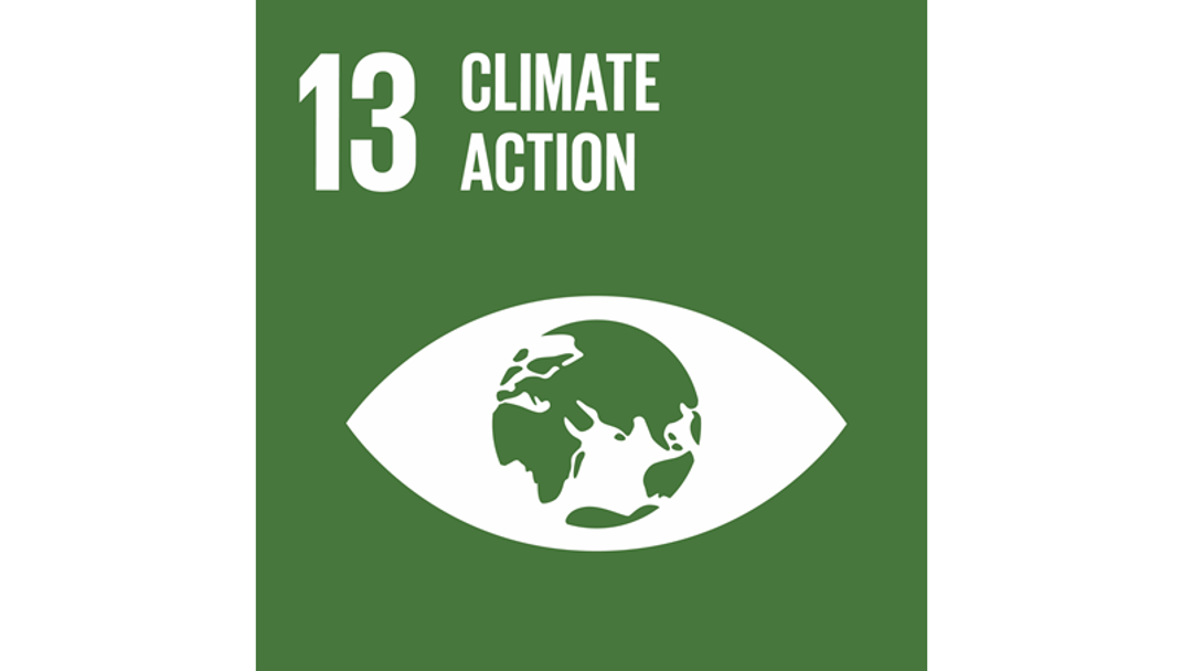 Logo of the United Nation's 13th sustainable development goal: Climate Action