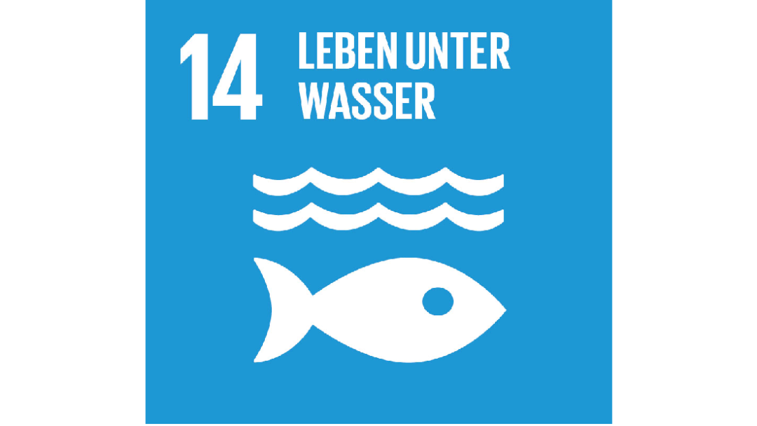 Eine Grafik zum 14. nachhaltigen Ziel der Vereinten Nationen über das Leben unter Wasser