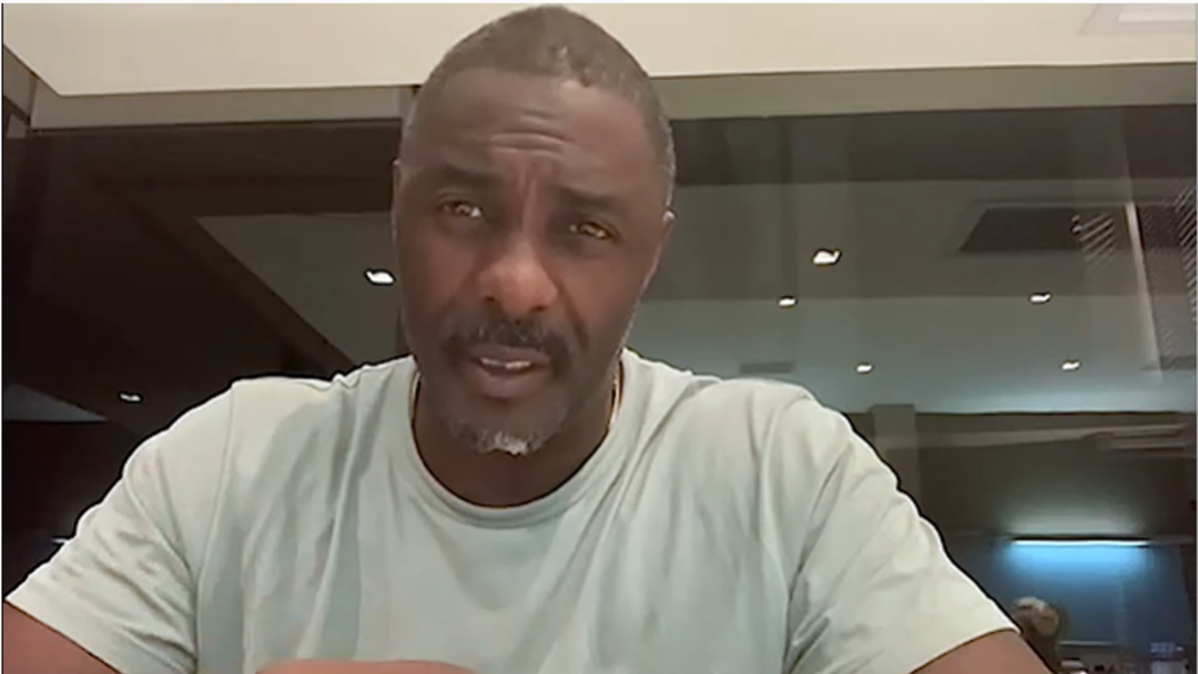 Idris Elba, actor and conservationist