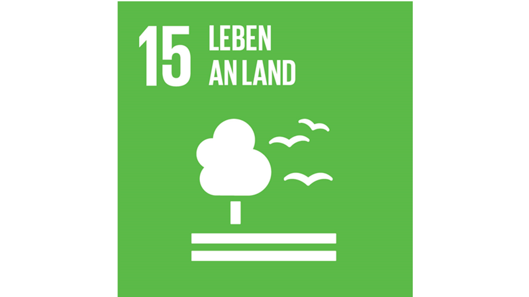 Das Logo des 15. nachhaltigen Ziels der Vereinten Nationen: Leben an Land