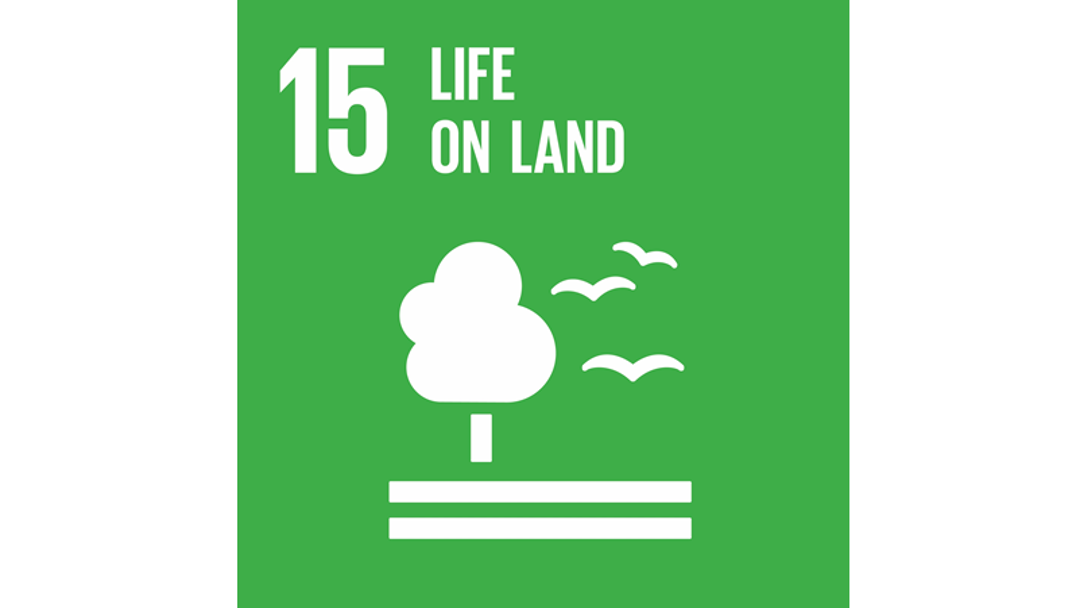 Logo of the United Nation's 15th sustainable development goal: Life on Land