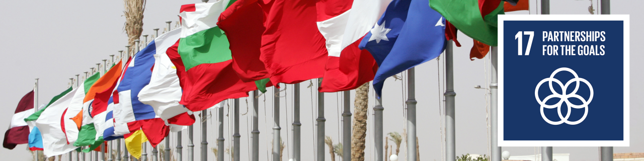 Various flags; next to that the SDG 17 icon - partnerships for the goals