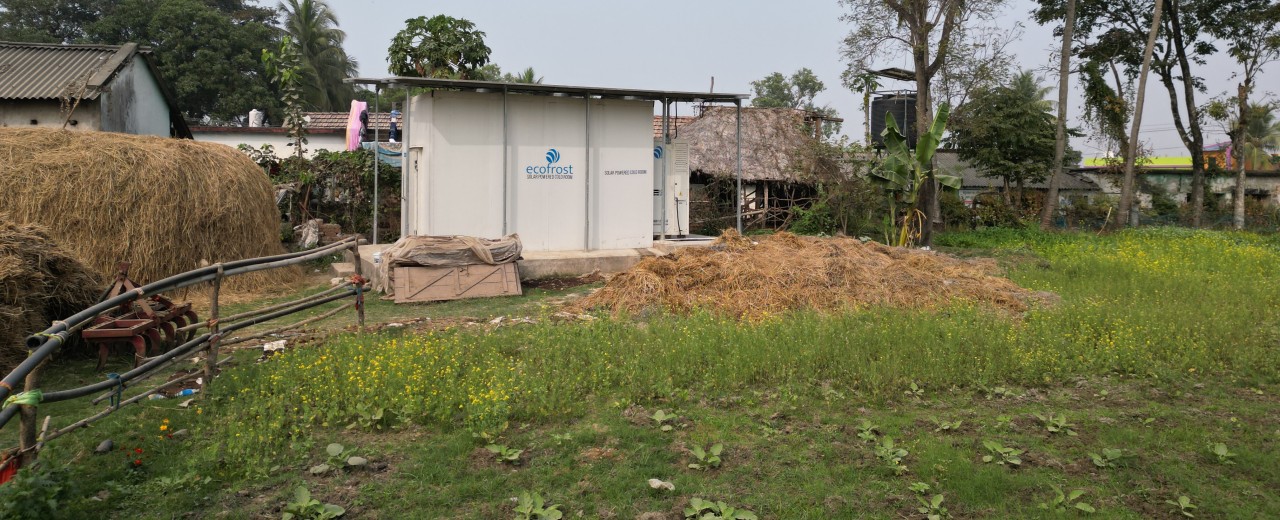 Solar-powered cold store right at the edge of the field