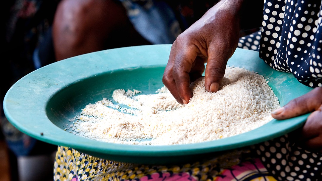 eating rice with hand from a plate