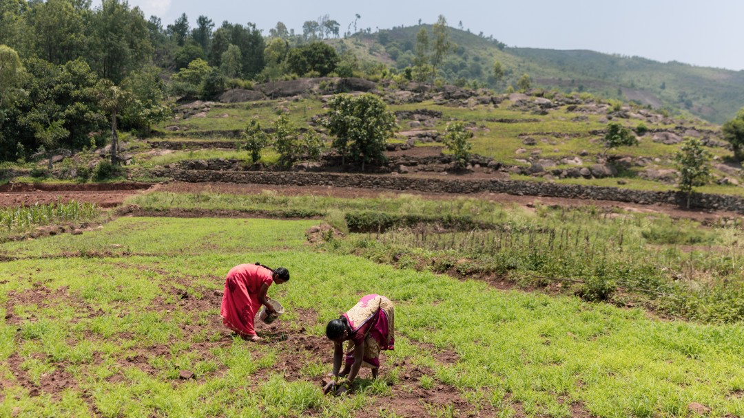 Zwei Frauen, die in Indien auf einem Feld arbeiten
