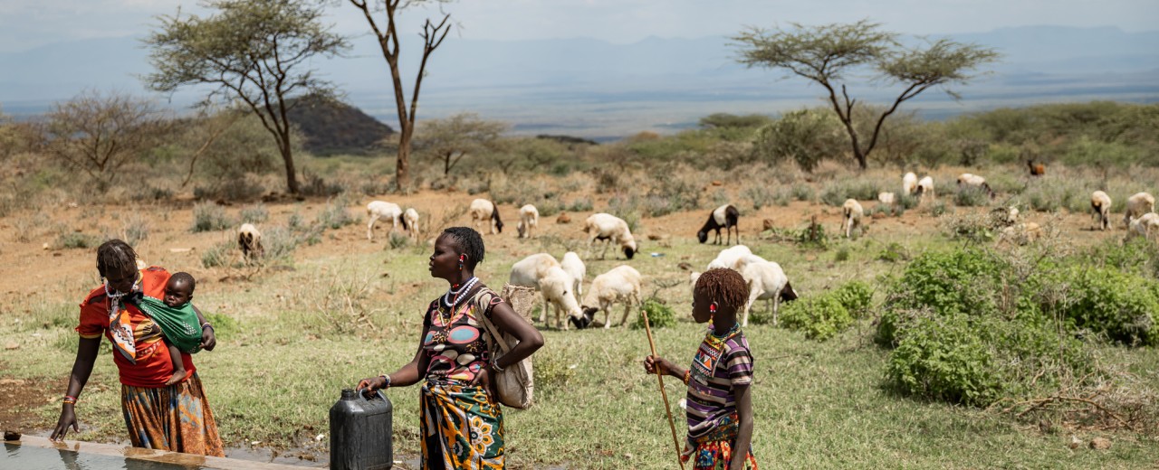 Hirten und Hirtinnen mit ihren Tieren (Ziegen und Schaafe) an Tränken in Kenia.