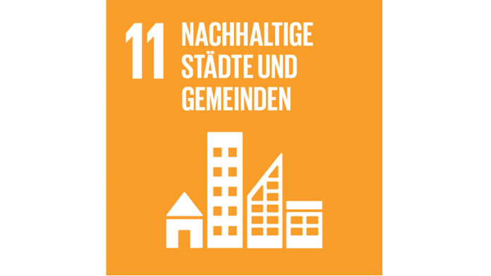 SDG logo