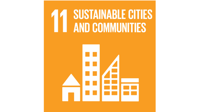 SDG logo