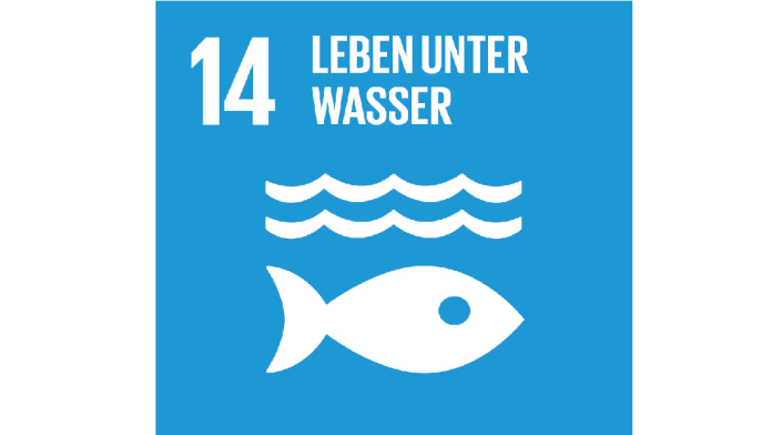 SDG logo