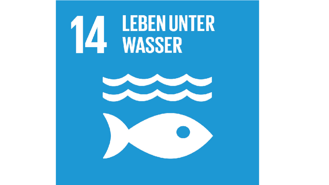 Das Logo des 14. nachhaltigen Ziels der Vereinten Nationen: Leben unter Wasser