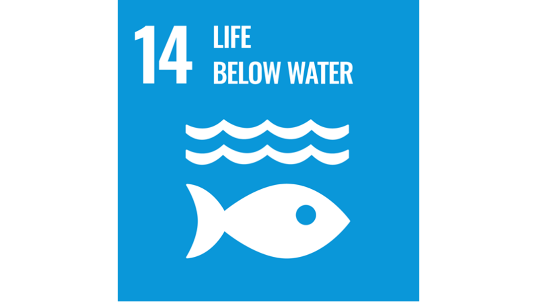 A graphic of United Nation's fourteenth Sustainable Development goal: Life below water