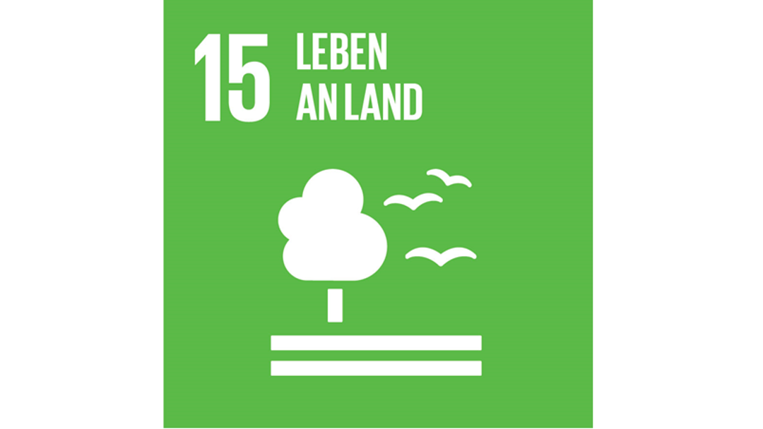 Das Logo des 15. nachhaltigen Ziels der Vereinten Nationen: Leben am Land