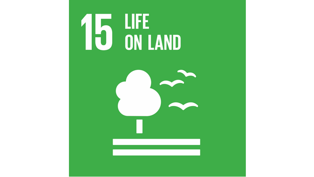 A graphic of United Nation's fifteenth Sustainable Development goal: Life on land