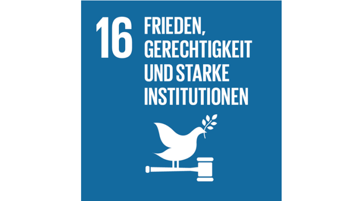 SDG logo