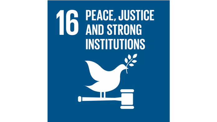 SDG logo