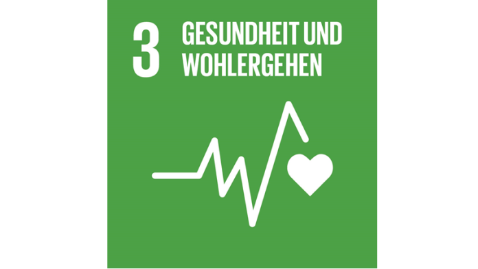 SDG logo