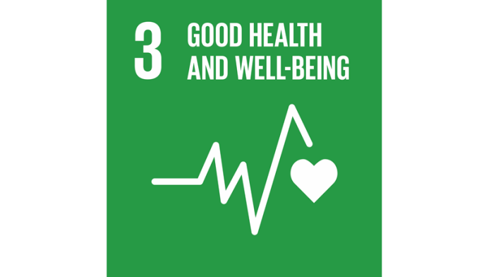 SDG logo