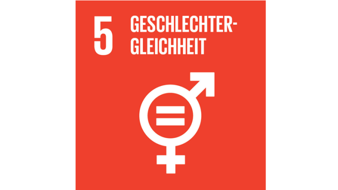 SDG logo