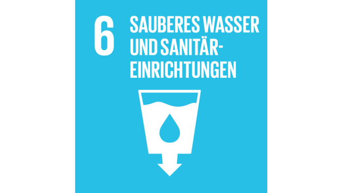 SDG logo