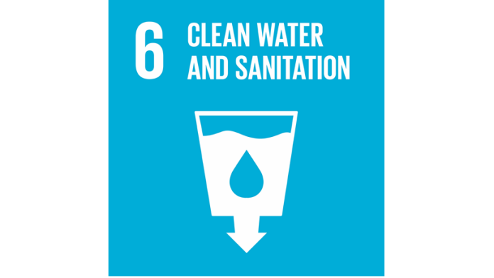 SDG logo