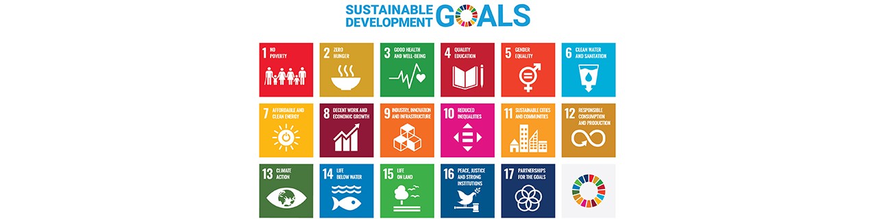 overview of the 17 SDGs