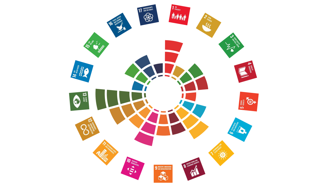 SDG icons arranged in a circle. From the centre of the circle, bars of different thicknesses point outwards depending on the commitment volume.