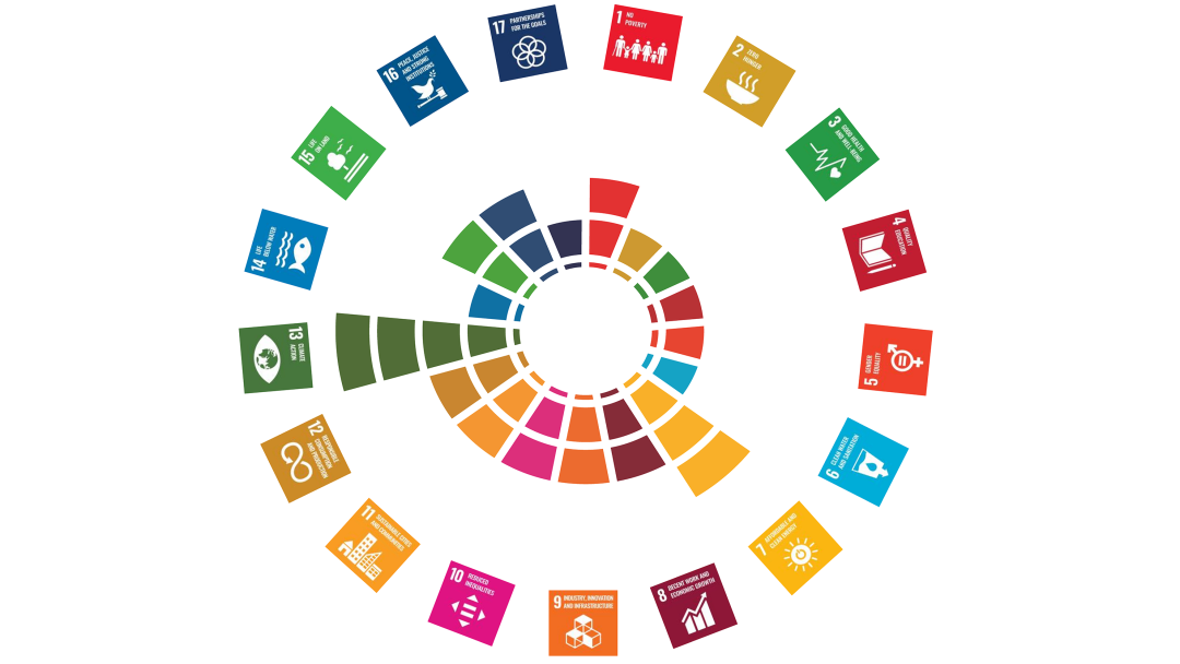SDG icons arranged in a circle. From the centre of the circle, bars of different thicknesses point outwards depending on the commitment volume.