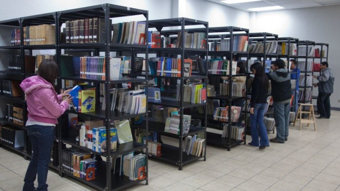 Bibliothek, Download-Center, Bücher, Regal, Frau