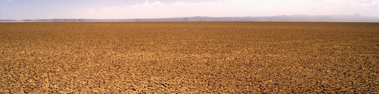 Dürre in Afrika