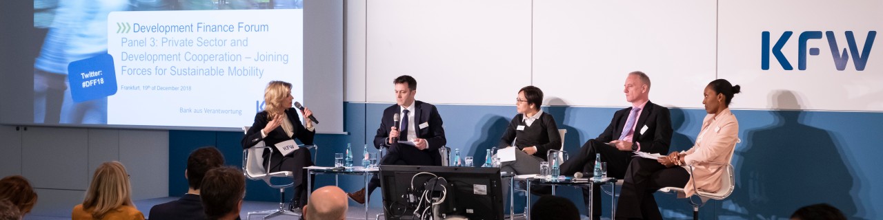Plenumsdiskussion beim Development Finance Forum