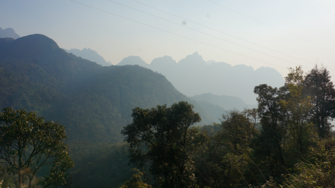 Luftaufnahme einer hügeligen Waldlandschaft in Vietnam