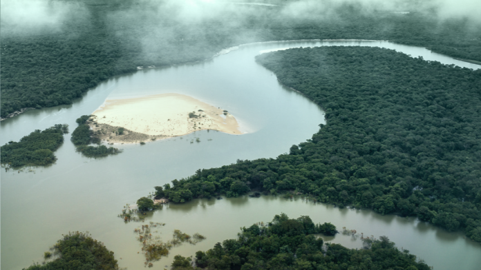 River in tropical rainforest