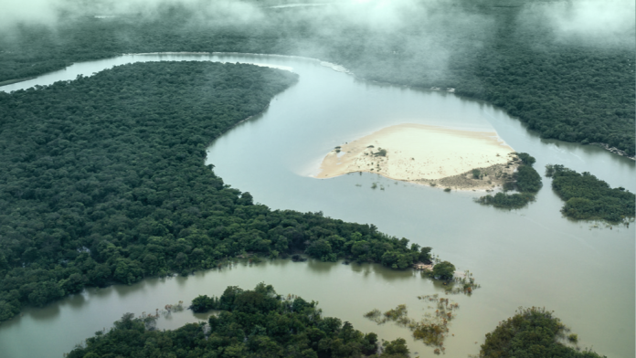 Flusslandschaft im Amazonas Gebiet.
