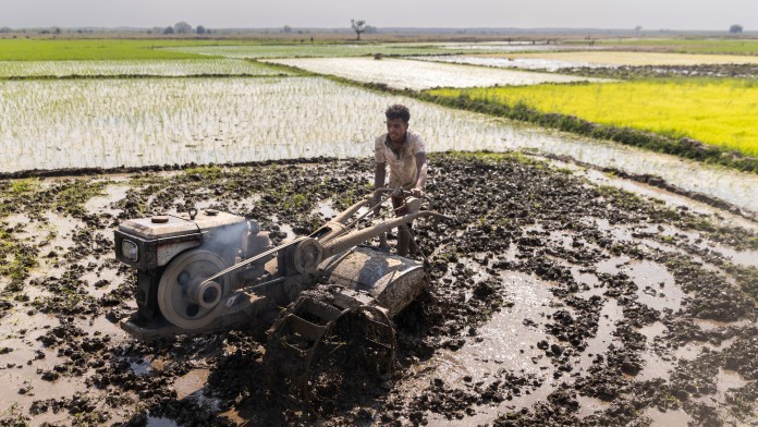 Man operating an old plowing machine in a rice field near Morombe, Madagascar