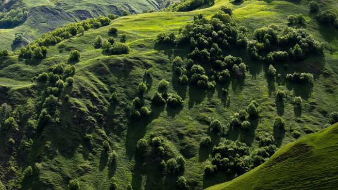 Waldschutzgebiet in Georgien aus der Luft
